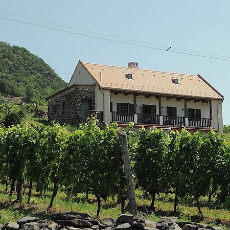 Sed Pince Vendeghaz Somlojeno Exterior foto